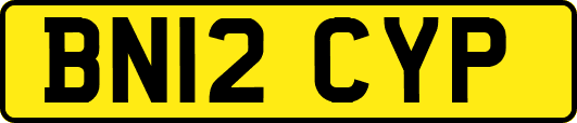 BN12CYP