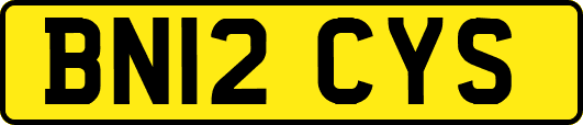 BN12CYS