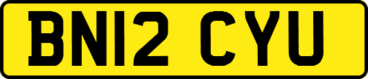 BN12CYU
