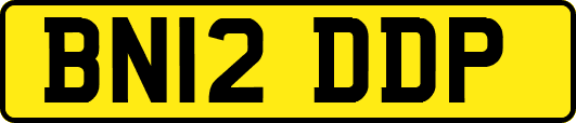 BN12DDP