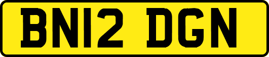 BN12DGN
