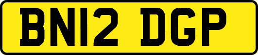 BN12DGP
