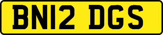 BN12DGS