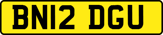 BN12DGU
