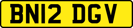 BN12DGV