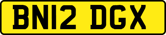 BN12DGX