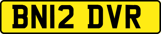 BN12DVR
