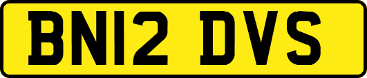 BN12DVS