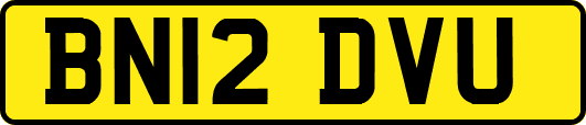 BN12DVU