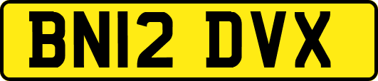 BN12DVX