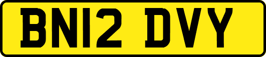 BN12DVY