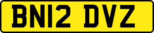 BN12DVZ