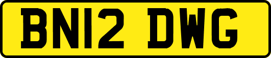 BN12DWG