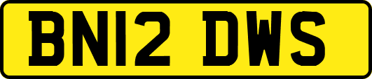 BN12DWS