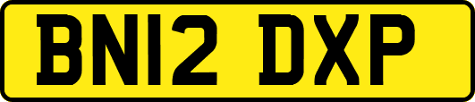 BN12DXP
