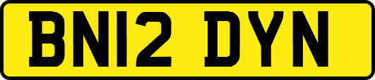 BN12DYN