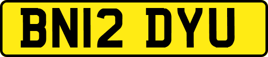 BN12DYU
