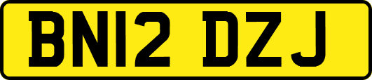 BN12DZJ
