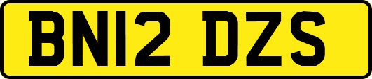 BN12DZS