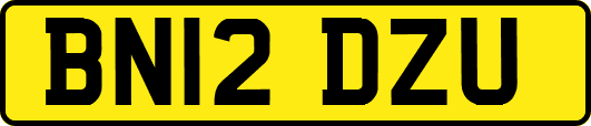 BN12DZU