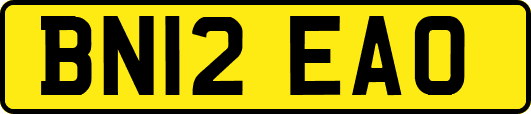 BN12EAO