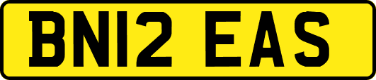 BN12EAS