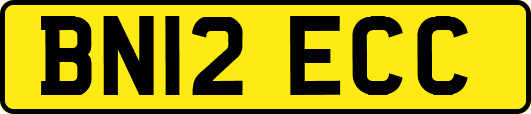 BN12ECC