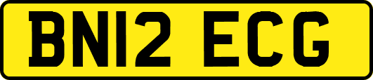 BN12ECG