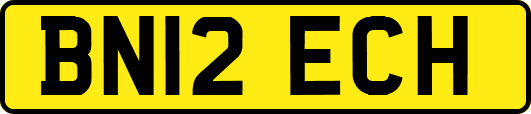 BN12ECH
