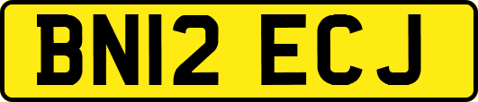 BN12ECJ