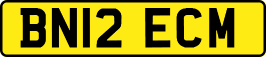 BN12ECM