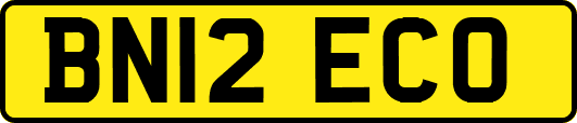 BN12ECO