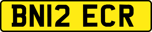 BN12ECR
