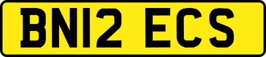 BN12ECS