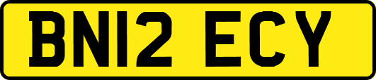 BN12ECY