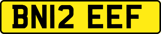 BN12EEF
