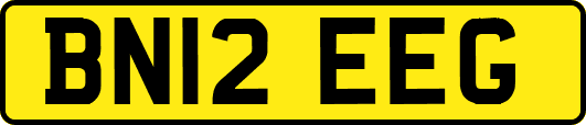 BN12EEG