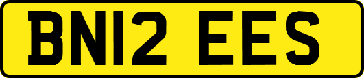 BN12EES