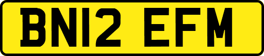 BN12EFM