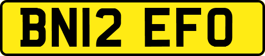 BN12EFO