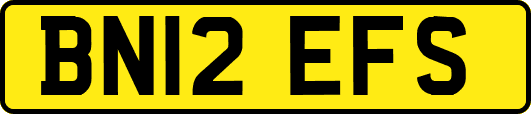 BN12EFS