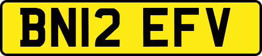 BN12EFV