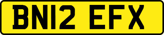 BN12EFX