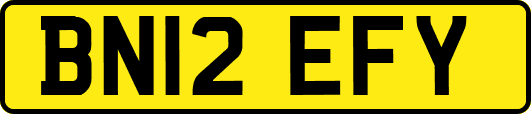 BN12EFY