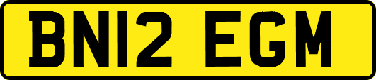 BN12EGM