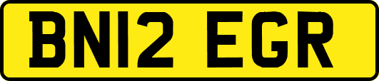 BN12EGR