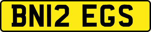 BN12EGS