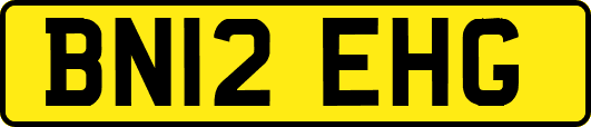 BN12EHG