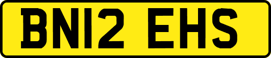 BN12EHS