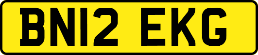 BN12EKG